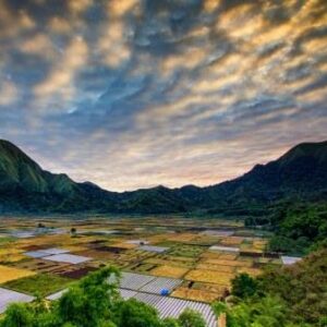 Variable Surface Characteristics Data