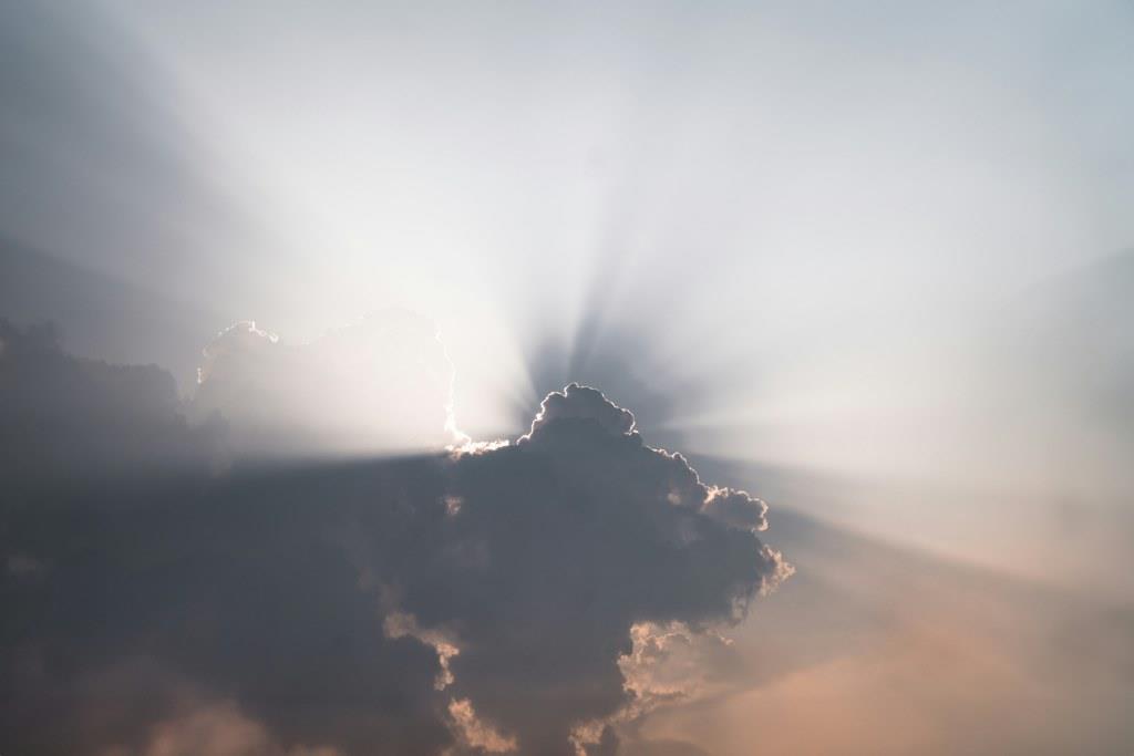 Met Data Shop Homepage